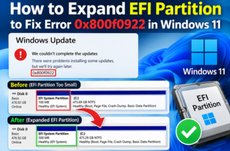 Windows 11 Disk Management showing the EFI System Partition next to error 0x800f0922 in Windows Update